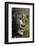 Face Thought to Depict Bodhisattva Avalokiteshvara, Angkor World Heritage Site-David Wall-Framed Photographic Print