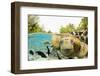 Face to Face with Green Sea Turtles-Michele Westmorland-Framed Photographic Print