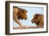 Face to Face-null-Framed Art Print