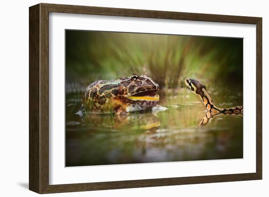 Face to Face-Shikhei Goh-Framed Photographic Print