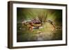 Face to Face-Shikhei Goh-Framed Photographic Print