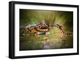 Face to Face-Shikhei Goh-Framed Photographic Print