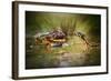 Face to Face-Shikhei Goh-Framed Photographic Print