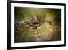 Face to Face-Shikhei Goh-Framed Photographic Print