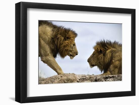 Face to Face-Tamir Bibi-Framed Photographic Print