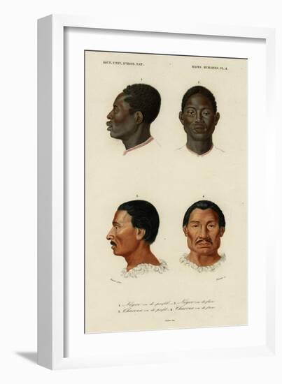 Faces of Racial Types, African and Charrua-null-Framed Art Print