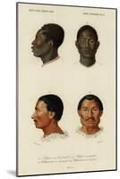 Faces of Racial Types, African and Charrua-null-Mounted Art Print