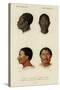 Faces of Racial Types, African and Charrua-null-Stretched Canvas