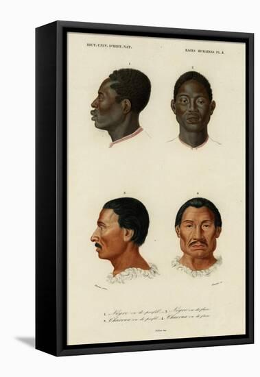 Faces of Racial Types, African and Charrua-null-Framed Stretched Canvas