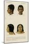 Faces of Racial Types, Bengali and Ojibwe-null-Mounted Art Print