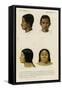 Faces of Racial Types, Bengali and Ojibwe-null-Framed Stretched Canvas