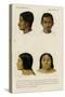 Faces of Racial Types, Bengali and Ojibwe-null-Stretched Canvas