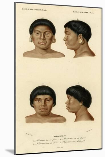 Faces of Racial Types, Botocudo Tribe-null-Mounted Art Print