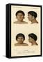 Faces of Racial Types, Botocudo Tribe-null-Framed Stretched Canvas