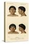 Faces of Racial Types, Botocudo Tribe-null-Stretched Canvas