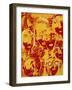 Faces: Yellow and Red-Diana Ong-Framed Giclee Print