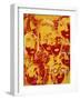 Faces: Yellow and Red-Diana Ong-Framed Giclee Print