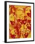 Faces: Yellow and Red-Diana Ong-Framed Giclee Print