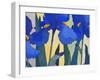 Faceted Irises-John Newcomb-Framed Giclee Print