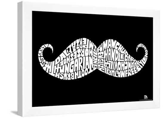 Facial Hair Types Text Poster--Framed Poster