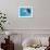 Facial View of a Leopard Seal, Astrolabe Island, Antarctica-null-Framed Photographic Print displayed on a wall