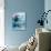 Facial View of a Leopard Seal, Astrolabe Island, Antarctica-null-Stretched Canvas displayed on a wall