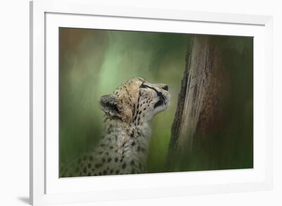 Facing Challenges-Jai Johnson-Framed Giclee Print