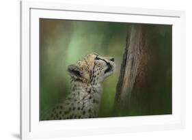 Facing Challenges-Jai Johnson-Framed Giclee Print