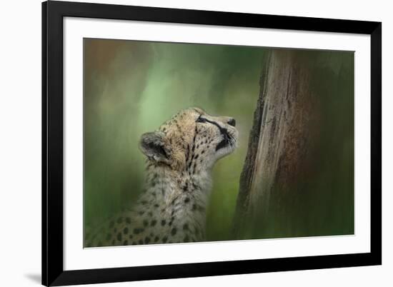 Facing Challenges-Jai Johnson-Framed Giclee Print