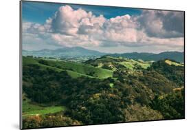 Facing East From Oakland Hills, Mount Diablo, Northern California-Vincent James-Mounted Photographic Print