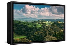 Facing East From Oakland Hills, Mount Diablo, Northern California-Vincent James-Framed Stretched Canvas