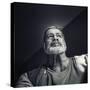 Facing the Light-Piet Flour-Stretched Canvas