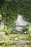Garden, Wooden Door, Overgrown-Fact-Photographic Print
