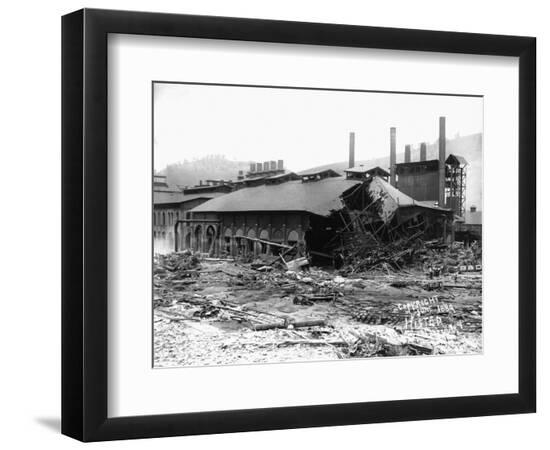 Premium Photographic Print, , large