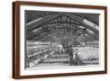Brown Frame