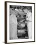 Factory Workers Testing the Newly Manufacture Cheese-Hansel Mieth-Framed Premium Photographic Print