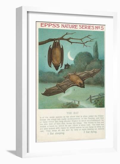 Facts About Bats-null-Framed Art Print