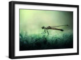 Fade Away-Erwin Astro-Framed Photographic Print