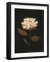 Fade into Fall II-Haley Knighten-Framed Art Print