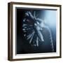 Fade To Blue-Andreas Stridsberg-Framed Giclee Print