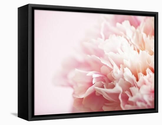 Fade to Pink-Doug Chinnery-Framed Stretched Canvas