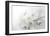 Fade to White-Philippe Sainte-Laudy-Framed Photographic Print