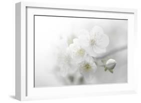 Fade to White-Philippe Sainte-Laudy-Framed Photographic Print