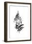 Faded Fern 2-Sheldon Lewis-Framed Art Print