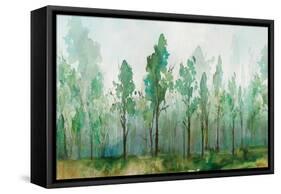 Faded Green-Isabelle Z-Framed Stretched Canvas