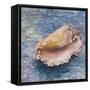 Faded into the Shore I-Walt Johnson-Framed Stretched Canvas