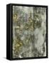 Faded Memory 1-J.D. Lewis-Framed Stretched Canvas