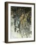 Faded Memory 2-J.D. Lewis-Framed Art Print