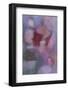 Faded Memory-Max Jones-Framed Giclee Print