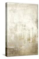 Faded Reflections - Quiet-Anne Rushout-Stretched Canvas